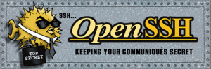 海思3559C交叉编译OpenSSH:实现高效安全的SCP、SFTP文件传输-天煜博客