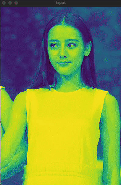 图片[1]-OpenCV-Python快速入门系列09利用OpenCV颜色表动态应用伪彩色-天煜博客